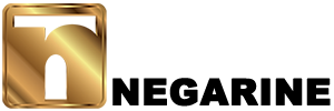 Limo inc
